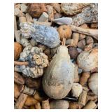 Basket of Assorted Dried Gourds with Collector Corks and Miscellaneous Items