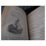 ANTIQUE CHILDRENS BOOKS