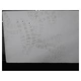 PLEXIGLASS AND POSTER BOARD