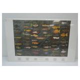 Michael D. Dunn Print. 2000. 20"x32"