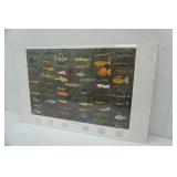 Michael D. Dunn Print. 2000. 20"x32"