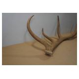 Antler