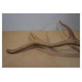 Antler