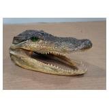 Louisiana Taxidermy Gator Head