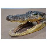 Louisiana Taxidermy Gator Head