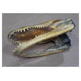 Louisiana Taxidermy Gator Head