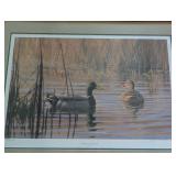 Morning Mallards Framed Gary Moss Print