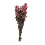 Pallet of Store Overstock Vickerman Product and Returns - UNPROCESSED