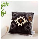 NEW 2 Pack of Yellowstone Silk Touch Pillows With Sherpa Back, 22" x 22" - Ombre Border