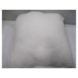 NEW 2 Pack of Yellowstone Silk Touch Pillows With Sherpa Back, 22" x 22" - Ombre Border