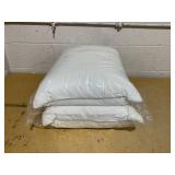 LOT OF 2 Pillows