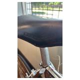 1973 Schwinn Paramount Vintage Bicycle