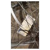 Collection of 21 Assorted Bicycle Wheels