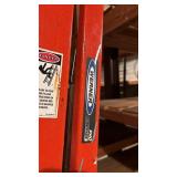 Werner Pro Series 10 ft Fiberglass Ladder - 300 lb Capacity