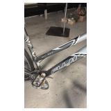 Fuji Del Ray Hybrid Bike