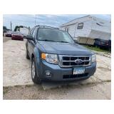 2010 Ford Escape