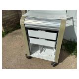 Rolling Cabinet with Roll Up Door and Power Inside Drawers