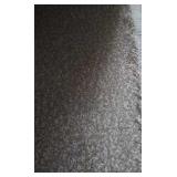Dixie Home Magnetic #1 Carpet  - 12