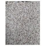 Dixie Home Beige Fleck Carpet - 12