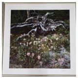 Large Lot of Phillip Mueller Artwork