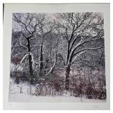 Large Lot of Phillip Mueller Artwork