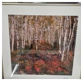 Large Lot of Phillip Mueller Artwork