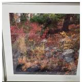 Large Lot of Phillip Mueller Artwork