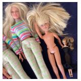 Group of Barbie Friends