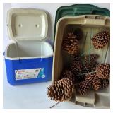 Collection of Pine Cones with Coleman Cooler and Storage Bin