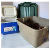 Collection of Pine Cones with Coleman Cooler and Storage Bin