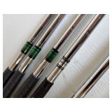 Complete Golf Set with Bag, Caddy, and Clubs including RAM and Silver Diamond