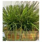 Collection of 5 Artificial Potted Plants for Home Decor