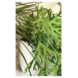 Collection of 5 Artificial Potted Plants for Home Decor