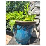 Decorative Frost Resistant Blue Ceramic Planter