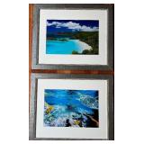Pair of Framed Tropical Island and Underwater Turtle Photos