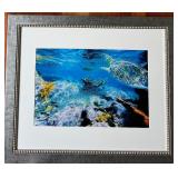 Pair of Framed Tropical Island and Underwater Turtle Photos