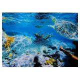 Pair of Framed Tropical Island and Underwater Turtle Photos