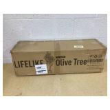 DR.Planzen 59-in Green Indoor/Outdoor Floor Olive Artificial tree
