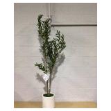 DR.Planzen 59-in Green Indoor/Outdoor Floor Olive Artificial tree
