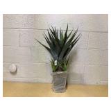 Nearly Natural Agave with Black Planter