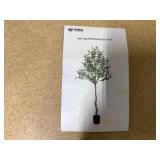 6FT Artificial Olive Tree Faux Olive 1150 Leaves and 44 Fruits