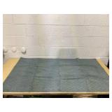 Medallion Sea Foam 3 ft. x 5 ft. Geometric Area Rug