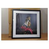 Black Picture Frame - 20"x20"