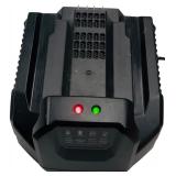 EGO Battery Charger