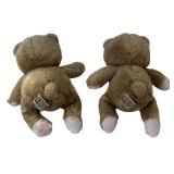 Mixed Teddy Bears Bundle