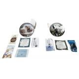 Decorative Collector