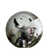 Decorative Collector