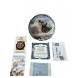 Decorative Collector