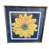 Collection of Sunflower Paintings in Various Frames - Including a signed print by Robert Lewis