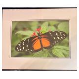Butterfly Themed Home Decor Collection